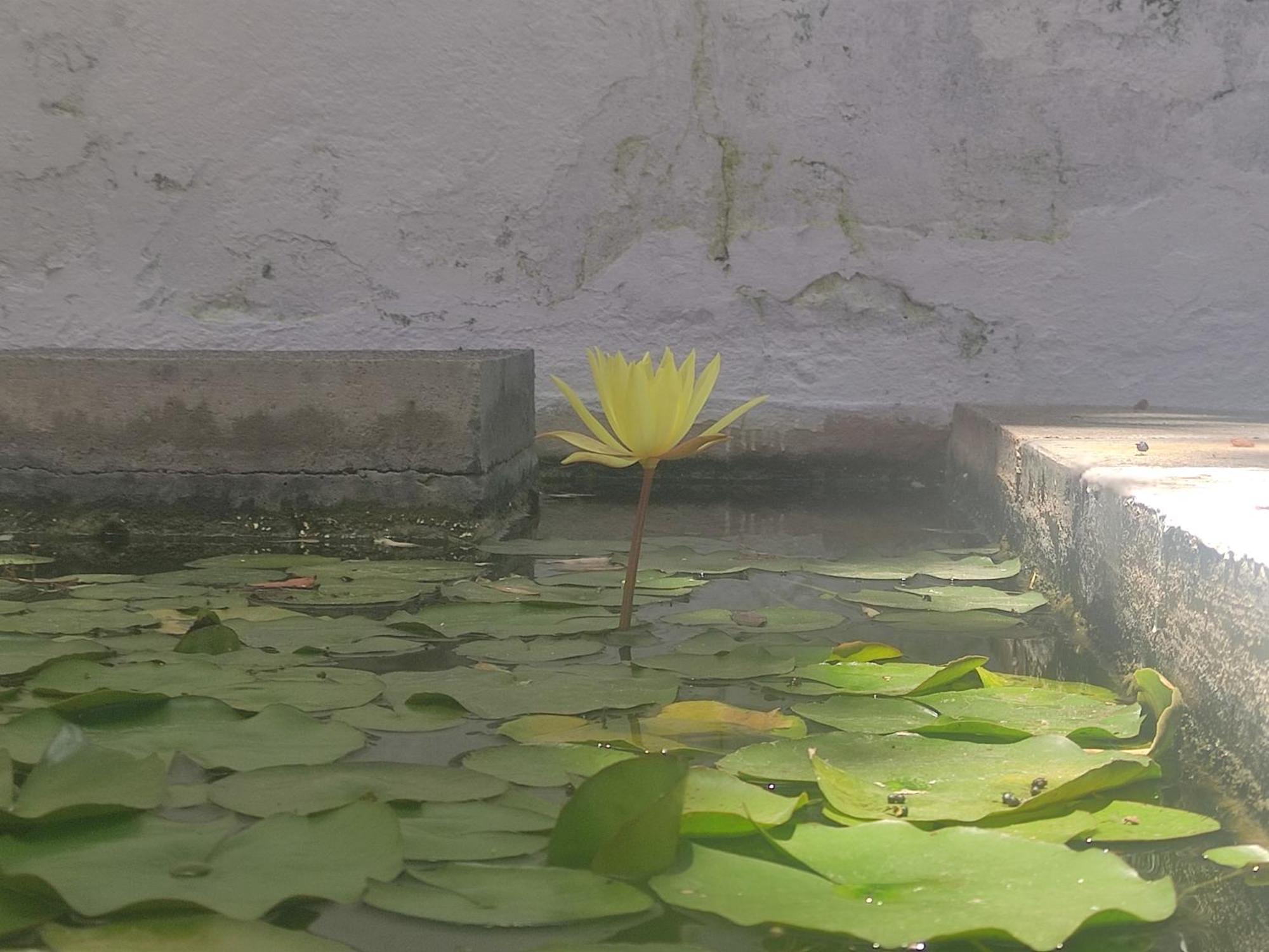 Sweet Dreams Apartment Santa Brigida  Phòng bức ảnh